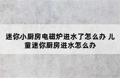 迷你小厨房电磁炉进水了怎么办 儿童迷你厨房进水怎么办